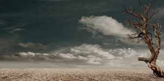 Jak naprawić pęknięty króciec?