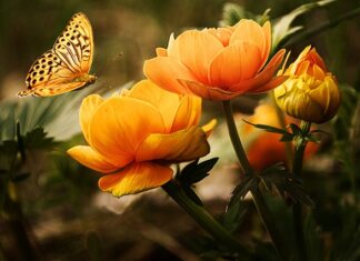 Jaki płyn do mycia dachu? Jaki płyn do mycia dachu?