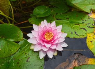 Jakie podkładki pod korek oleju? Jakie podkładki pod korek oleju?