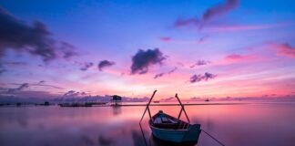 Jaki kolor ma zużyty olej?