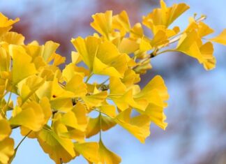 Czy wentylator od klimy chodzi cały czas? Czy wentylator od klimy chodzi cały czas?