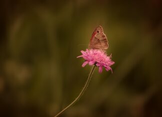Co najlepiej na rdzę? Co najlepiej na rdzę?