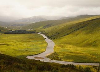 Co daje szersza kierownica? Co daje szersza kierownica?