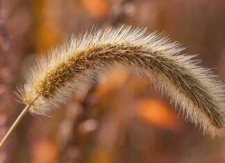 Czy głowice należy dokręcić po czasie?