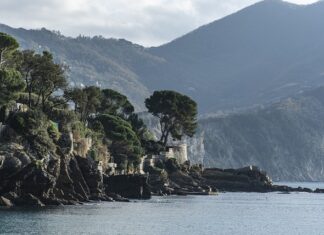 Ile kosztuje wymiana panewek w silniku?