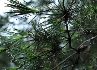 Czy warto kupić bagażnik rowerowy? Czy warto kupić bagażnik rowerowy?