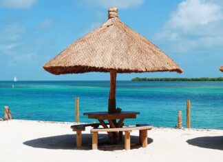 Ile kosztuje wymiana uszczelniacza skrzyni biegów? Ile kosztuje wymiana uszczelniacza skrzyni biegów?