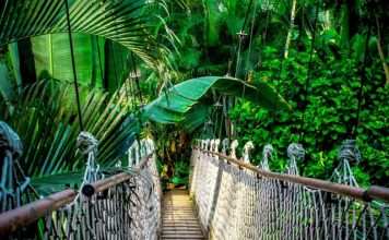 Jaki kurs warto zrobić w 2023?