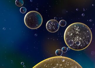 Czy można jechać w trasę po wymianie oleju? Czy można jechać w trasę po wymianie oleju?