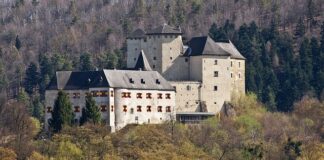 Co to jest naba kierownicy?