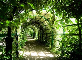 Czy Pergola chroni przed deszczem? Czy Pergola chroni przed deszczem?