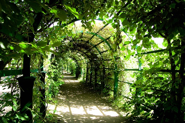 Czy Pergola chroni przed deszczem? Czy Pergola chroni przed deszczem?